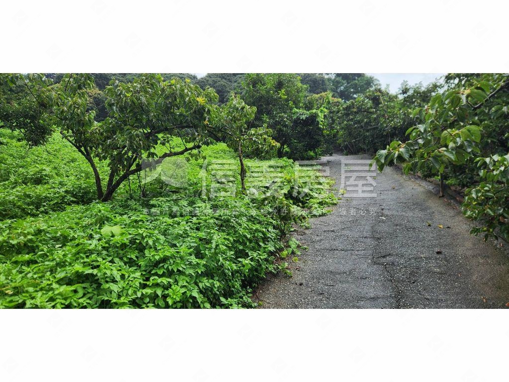 石岡區好規劃農牧用地Ａ房屋室內格局與周邊環境