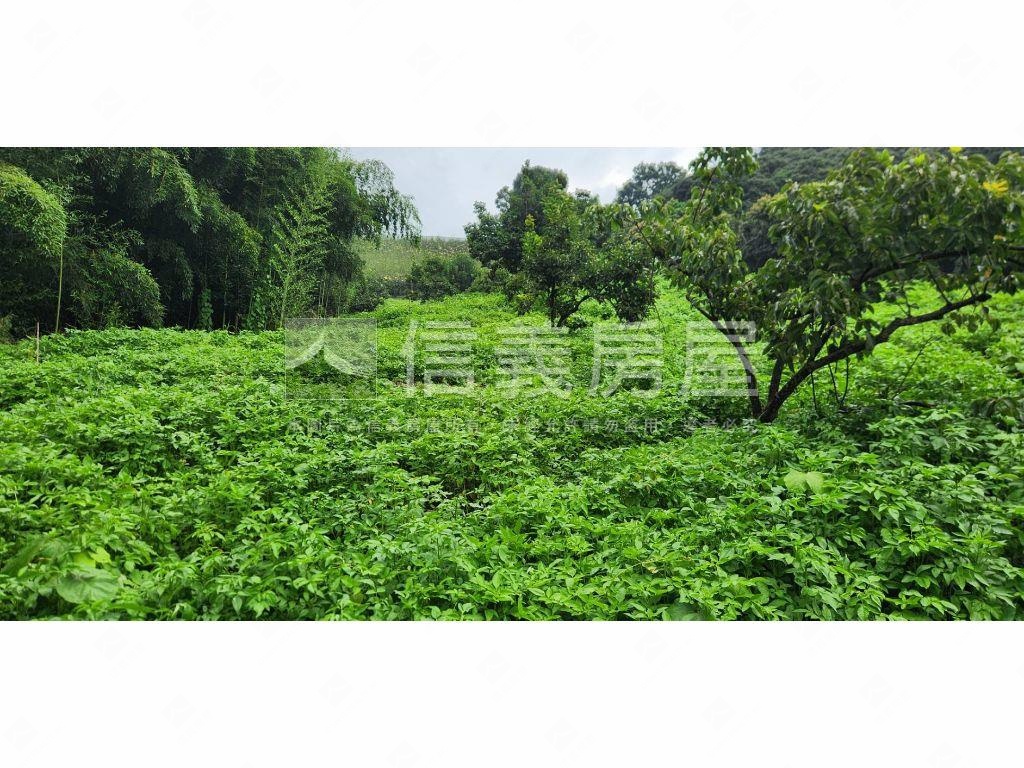 石岡區好規劃農牧用地Ａ房屋室內格局與周邊環境