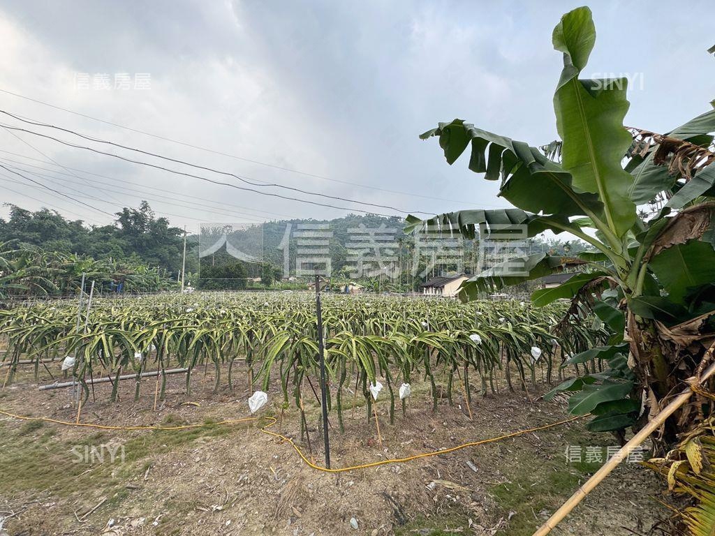 ★專任！集集精華開心農場房屋室內格局與周邊環境