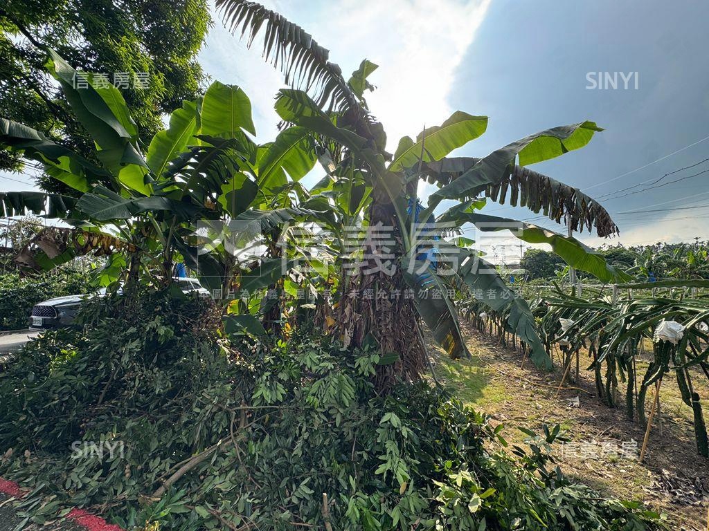 ★專任！集集精華開心農場房屋室內格局與周邊環境