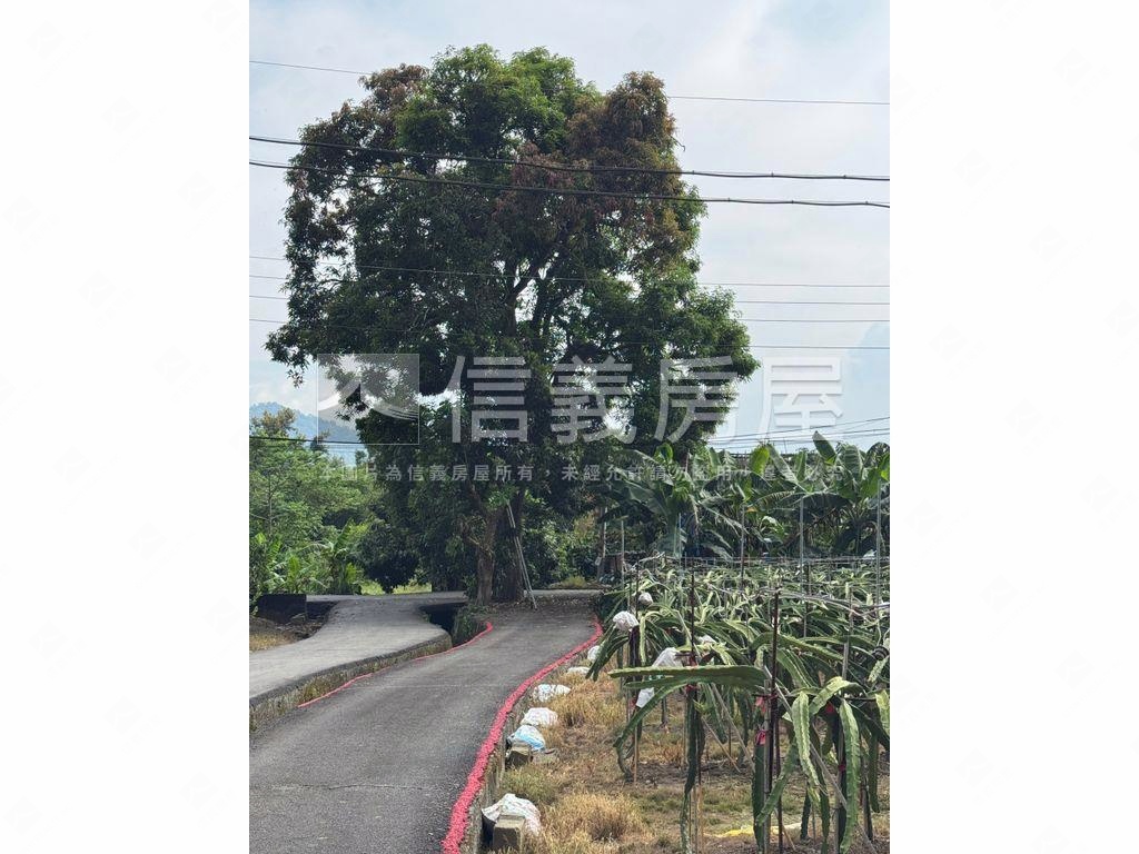 ★專任！集集精華開心農場房屋室內格局與周邊環境