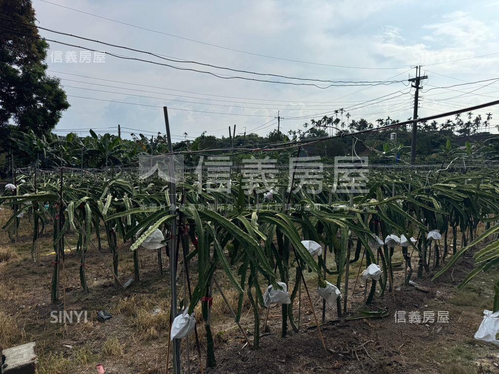 ★專任！集集精華開心農場房屋室內格局與周邊環境