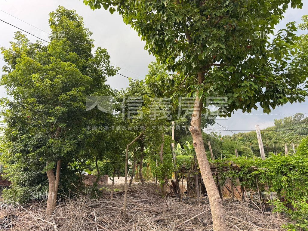 ★專任！集集精華開心農場房屋室內格局與周邊環境