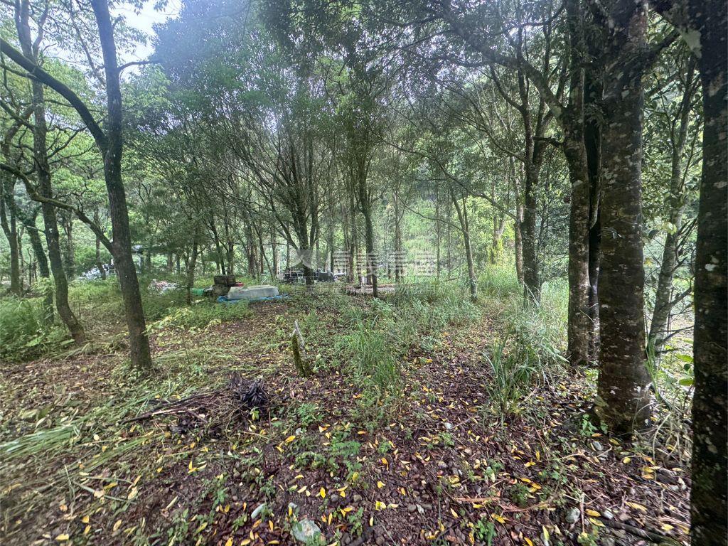 坪林土地房屋室內格局與周邊環境