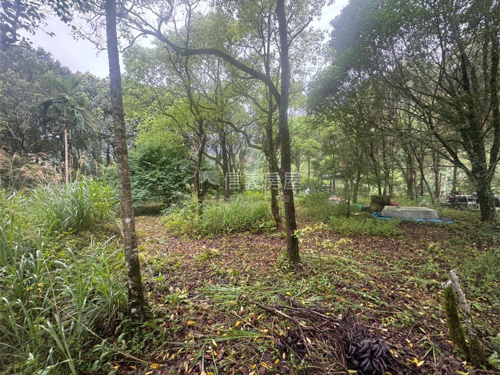 坪林土地房屋室內格局與周邊環境