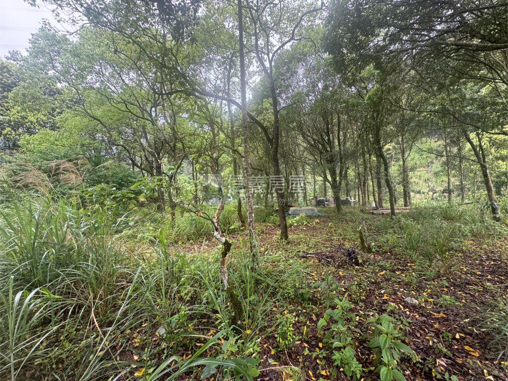 坪林土地房屋室內格局與周邊環境