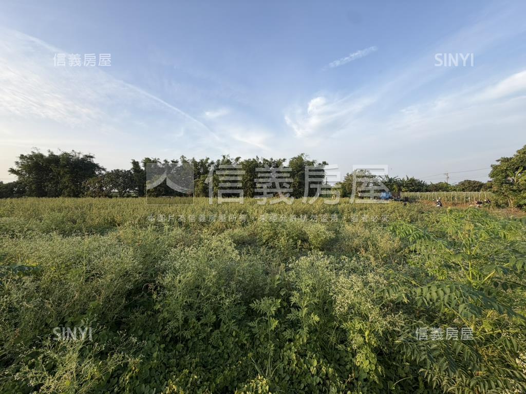 中洲段開心農場房屋室內格局與周邊環境