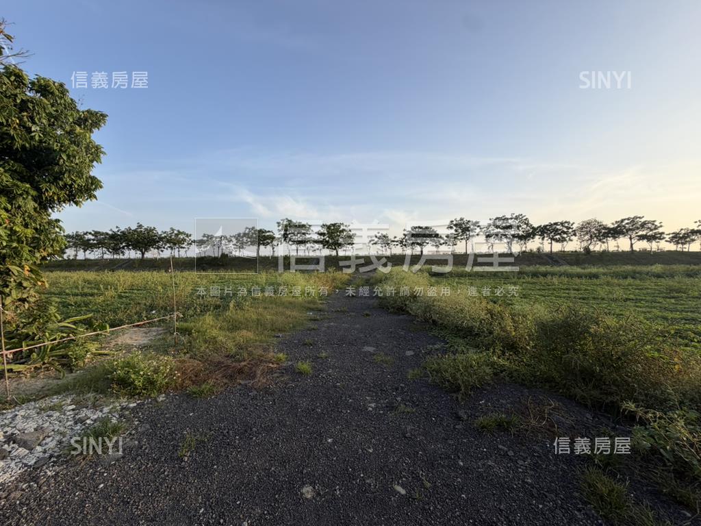 中洲段開心農場房屋室內格局與周邊環境