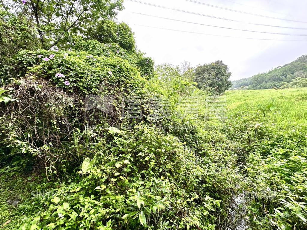 臨路有水電大溪東隆段農地房屋室內格局與周邊環境