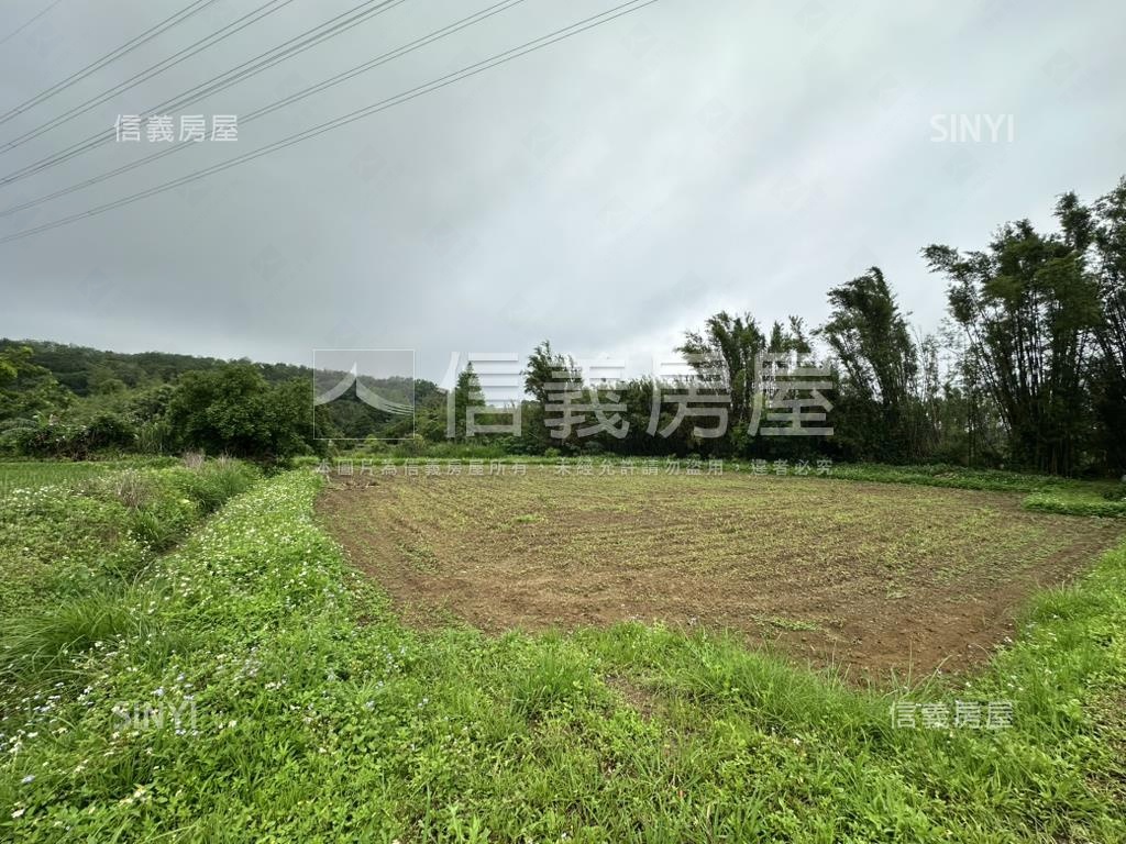 臨路有水電大溪東隆段農地房屋室內格局與周邊環境