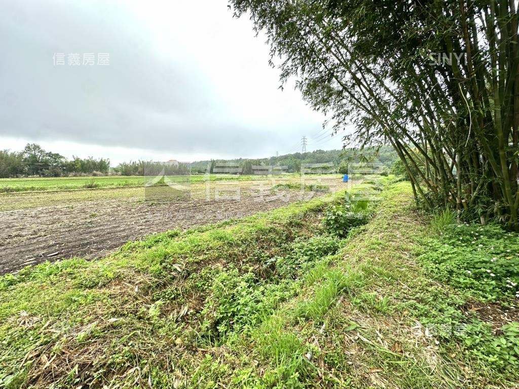 臨路有水電大溪東隆段農地房屋室內格局與周邊環境