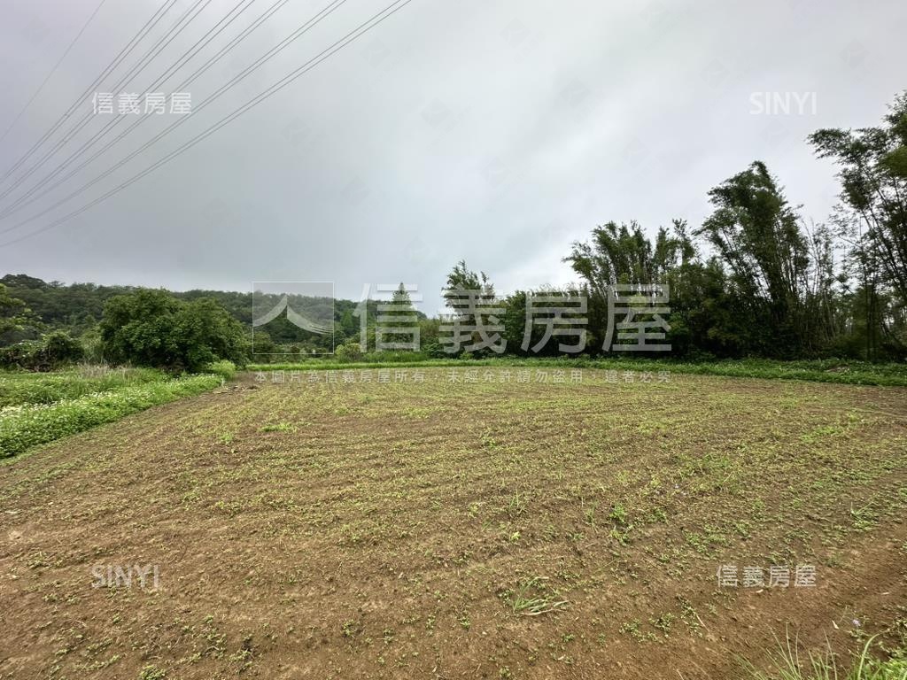 臨路有水電大溪東隆段農地房屋室內格局與周邊環境
