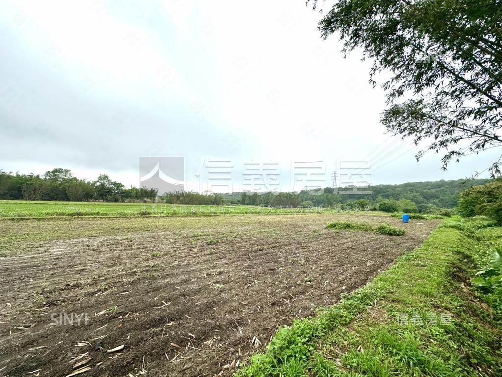 臨路有水電大溪東隆段農地房屋室內格局與周邊環境