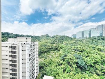 東方山莊山景四房車位