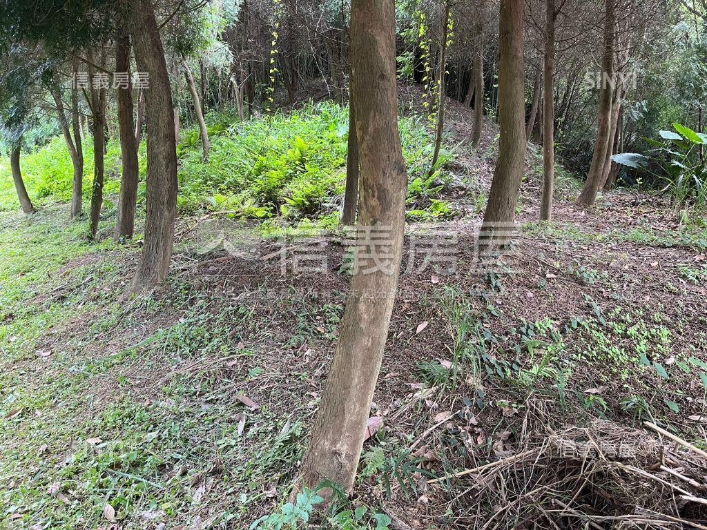 近竹科寶山萬坪農牧林地房屋室內格局與周邊環境