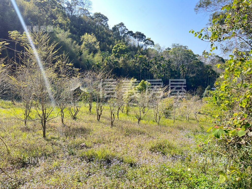 苗栗好山好水土地房屋室內格局與周邊環境