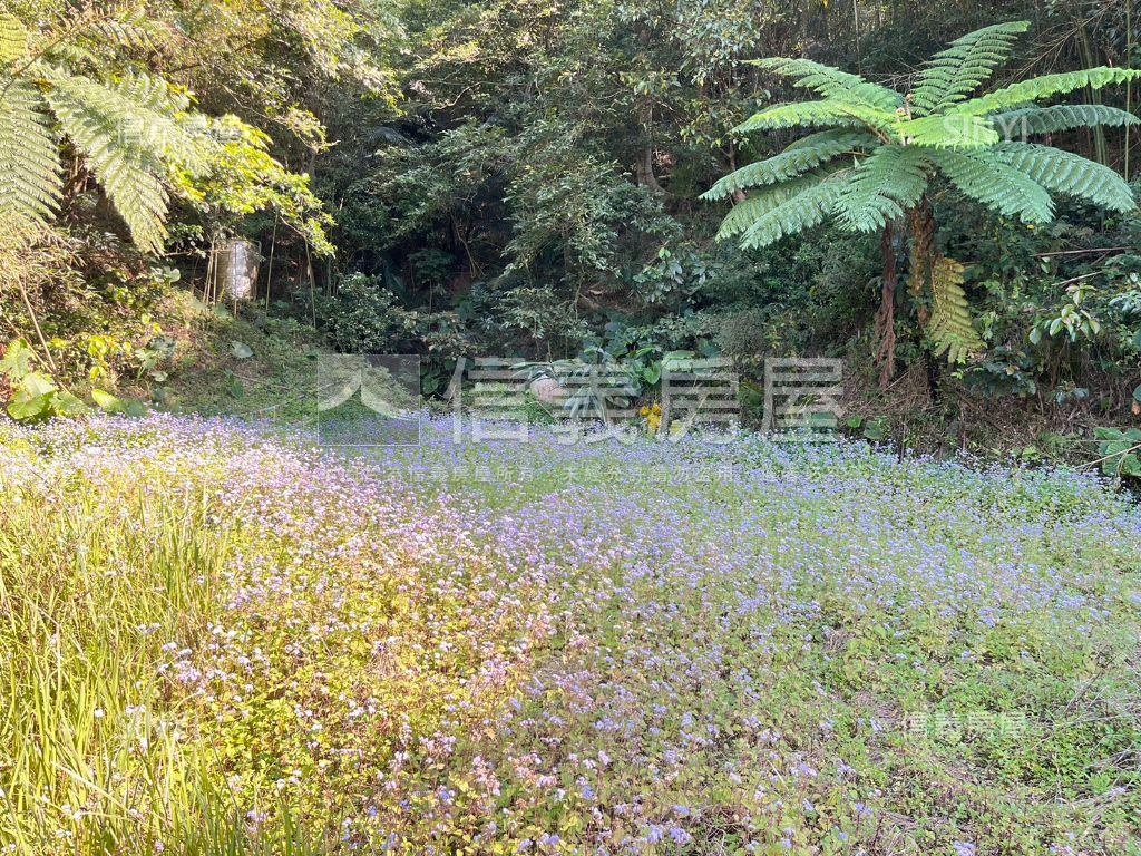 苗栗好山好水土地房屋室內格局與周邊環境