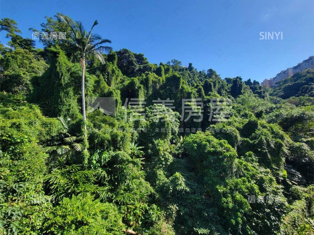 近區公所陽光樹景好屋房屋室內格局與周邊環境
