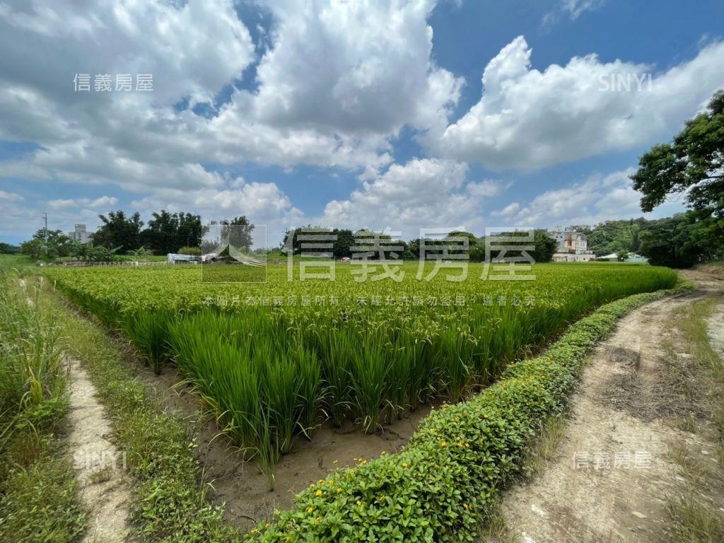 近龍岡忠貞農地房屋室內格局與周邊環境