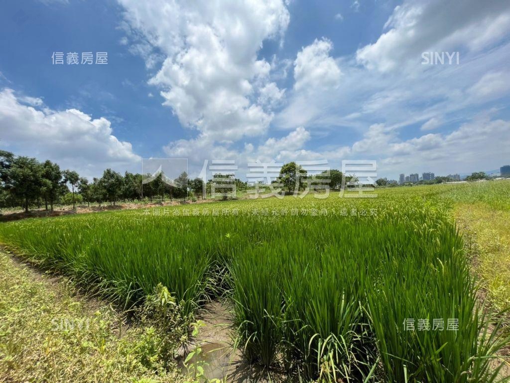 近龍岡忠貞農地房屋室內格局與周邊環境
