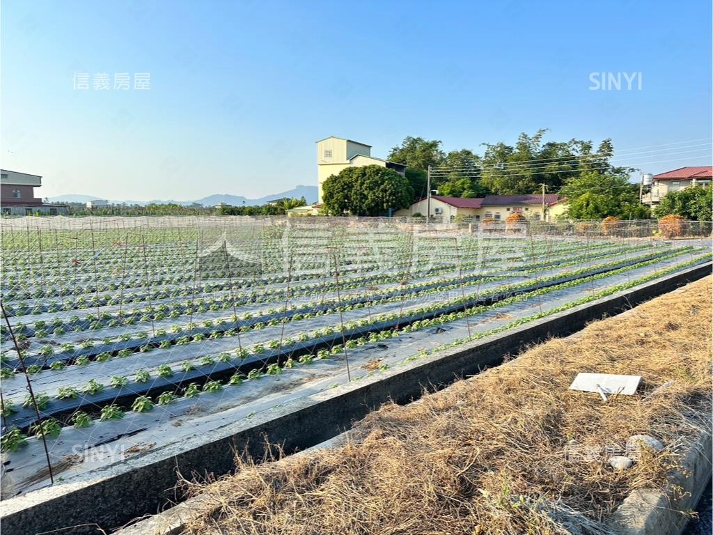 美濃參路農用農地房屋室內格局與周邊環境