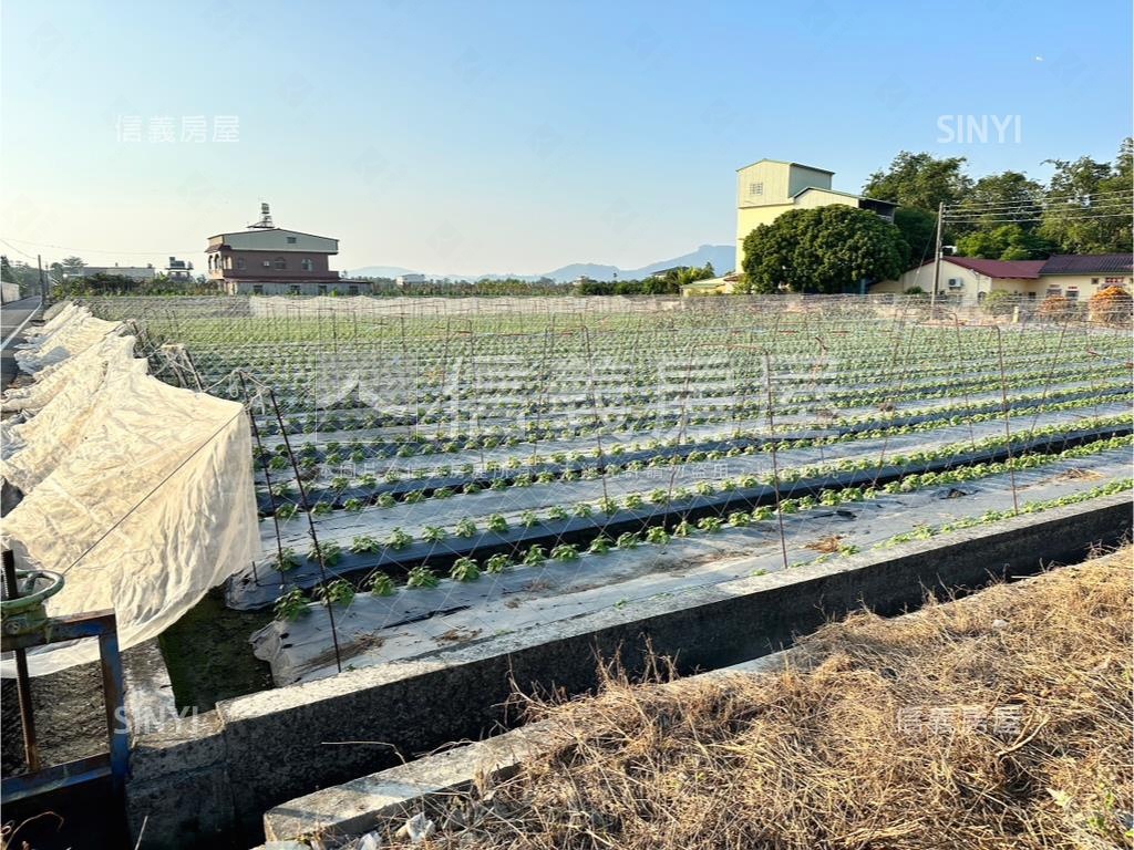 美濃參路農用農地房屋室內格局與周邊環境