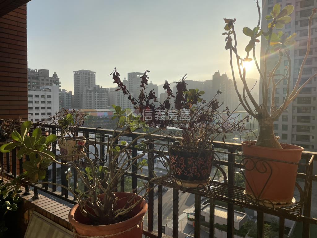房屋照片