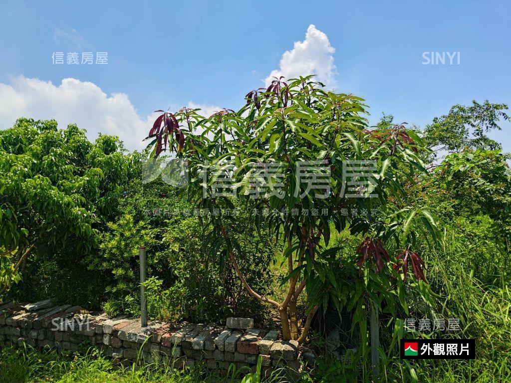 歸仁｜大潭高鐵後花園農地房屋室內格局與周邊環境