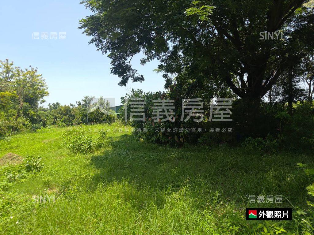 歸仁｜大潭高鐵後花園農地房屋室內格局與周邊環境