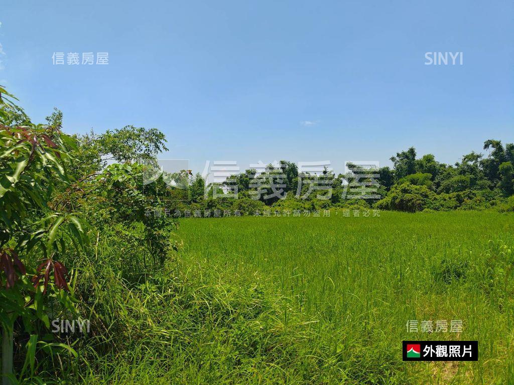 歸仁｜大潭高鐵後花園農地房屋室內格局與周邊環境