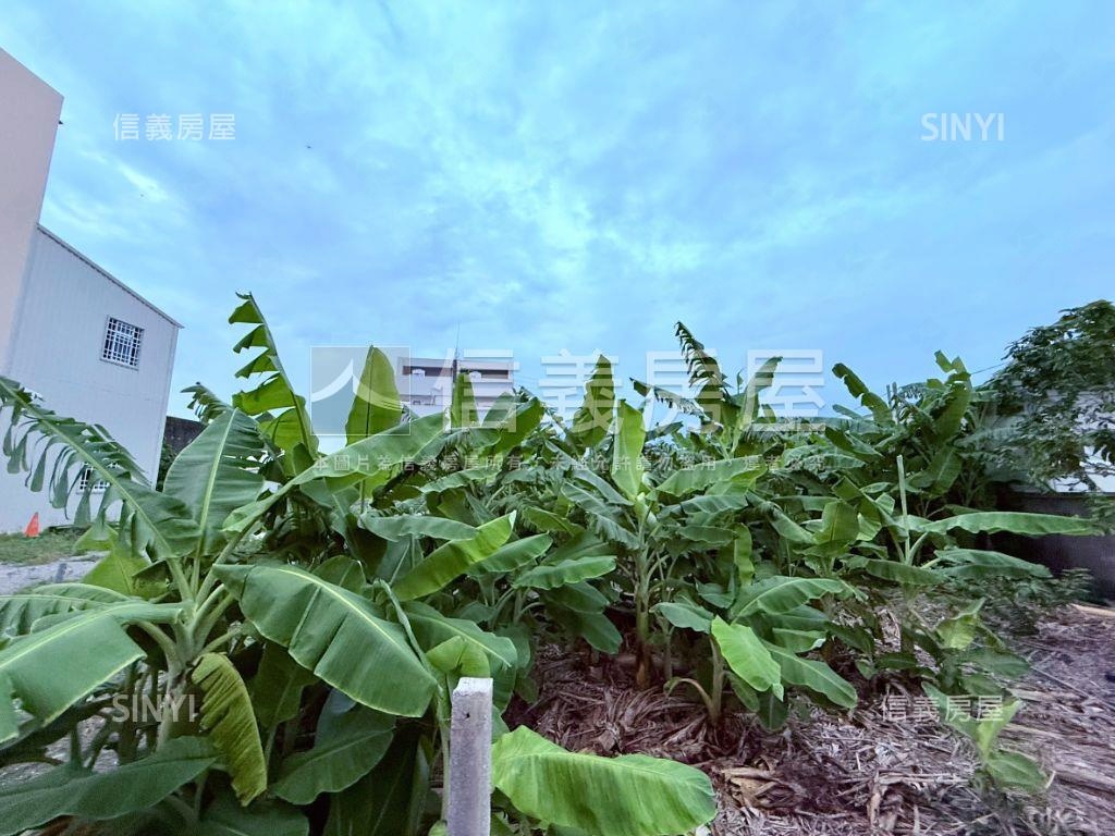 佳里寬約１５米漂亮商業地房屋室內格局與周邊環境