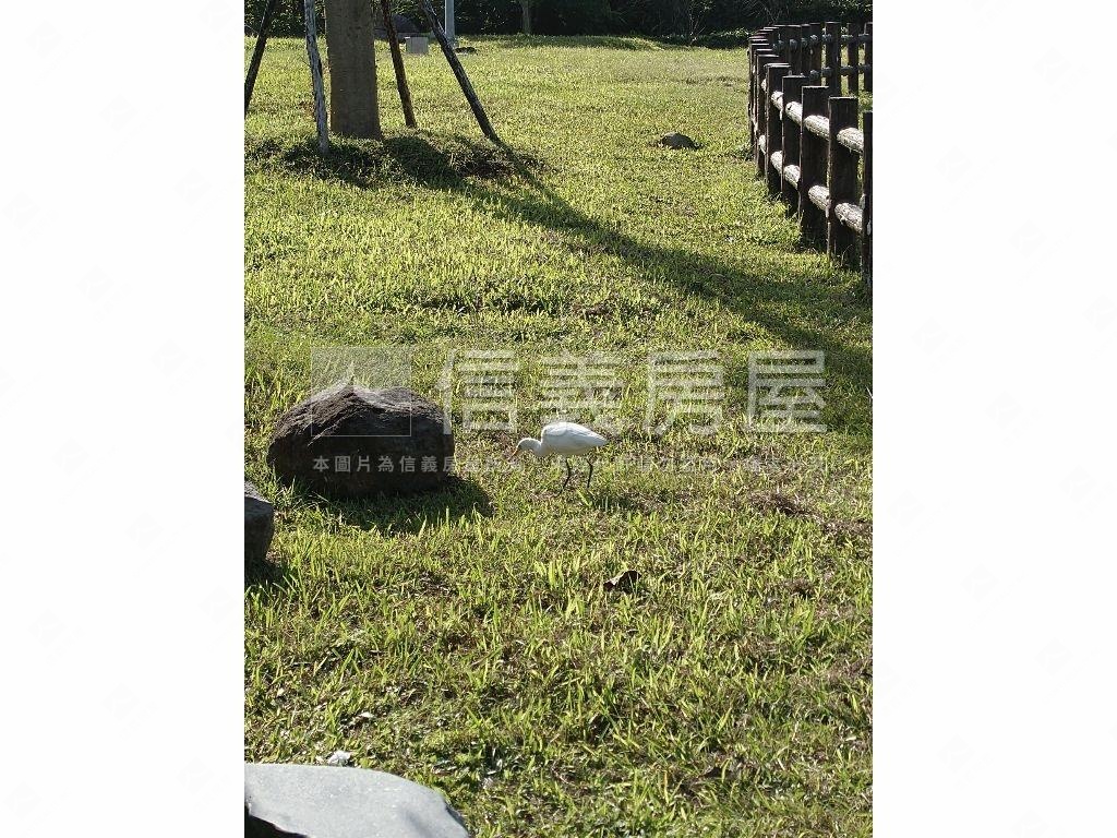 公園旁大空間房屋室內格局與周邊環境