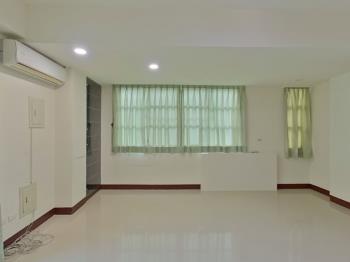 長億震後大地坪角間別墅