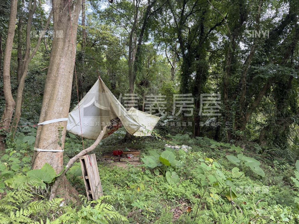 三峽持分土地房屋室內格局與周邊環境