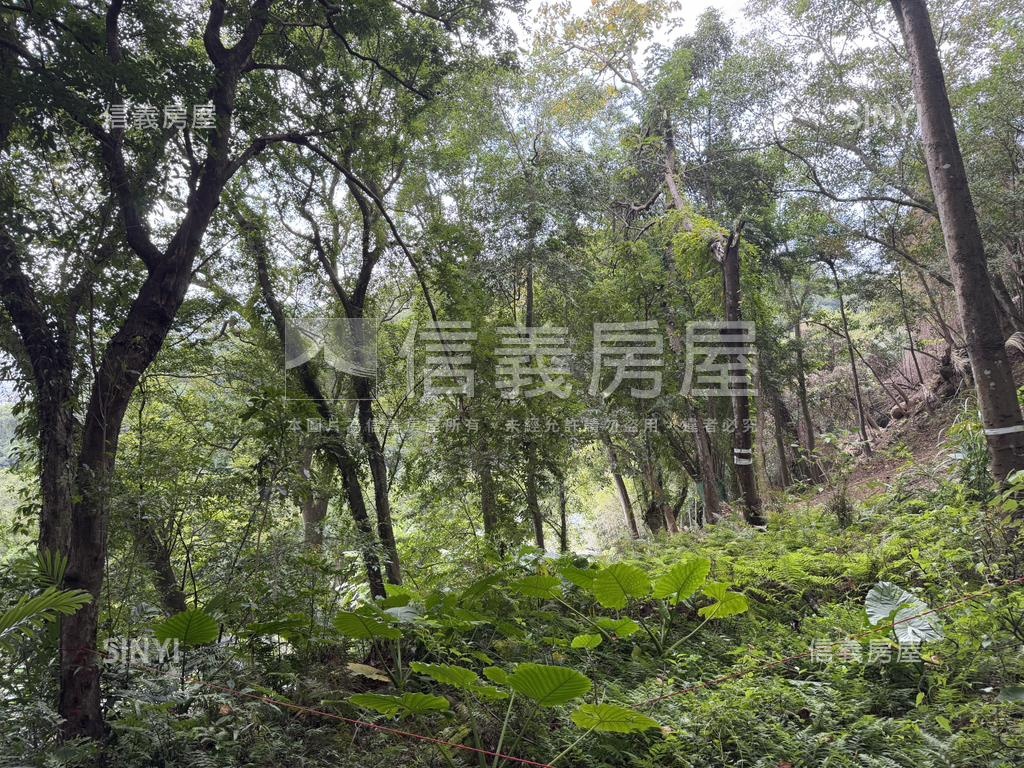 三峽持分土地房屋室內格局與周邊環境