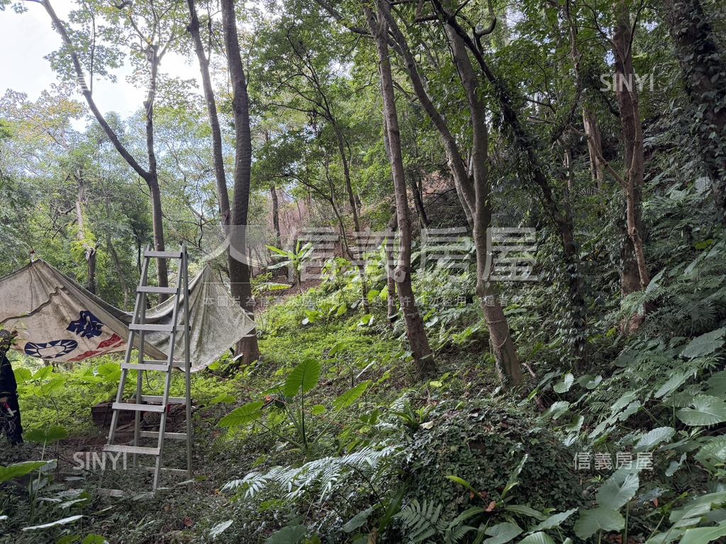 三峽持分土地房屋室內格局與周邊環境