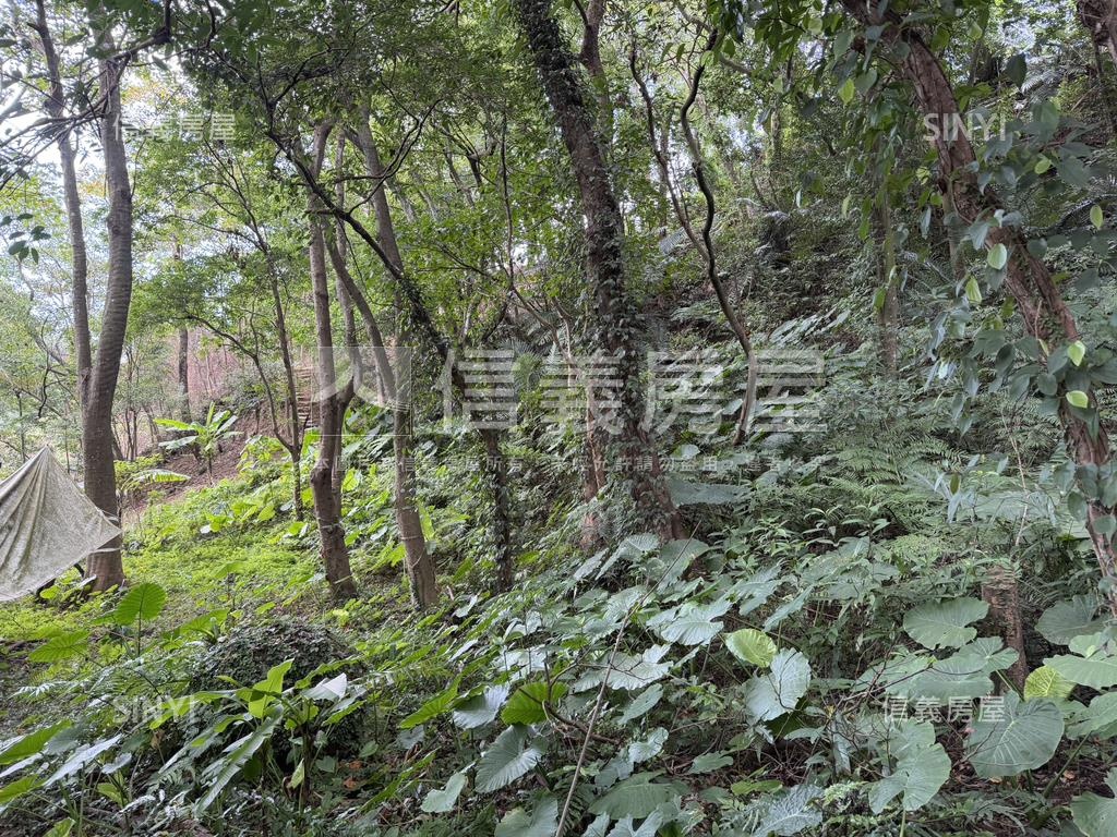 三峽持分土地房屋室內格局與周邊環境