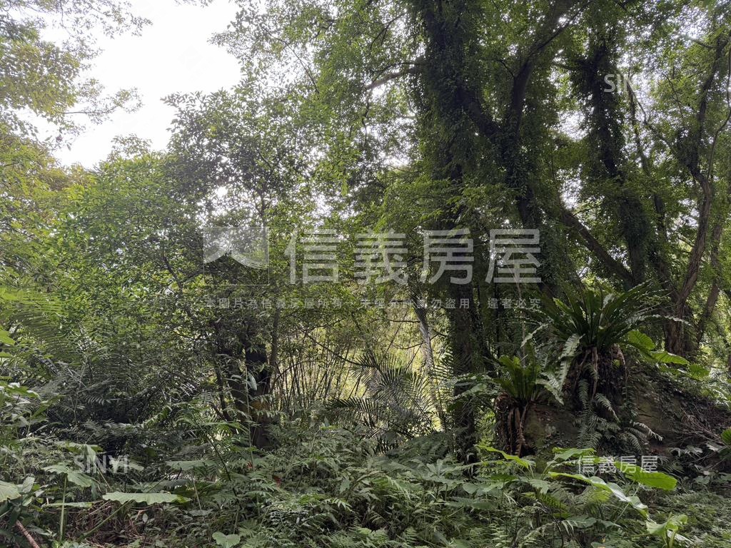 三峽持分土地房屋室內格局與周邊環境