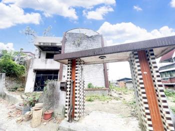 二零八地坪獨棟庭院宅