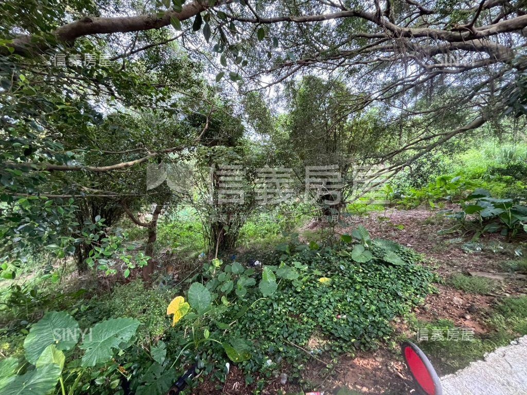 龜山大同段０７６４持分地房屋室內格局與周邊環境