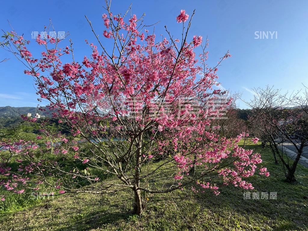 ★直潭土地自地自建好規劃房屋室內格局與周邊環境