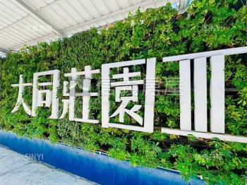 大同莊園雄踞霸視豪邸