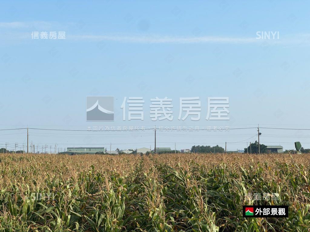 西港臨路方正農地房屋室內格局與周邊環境