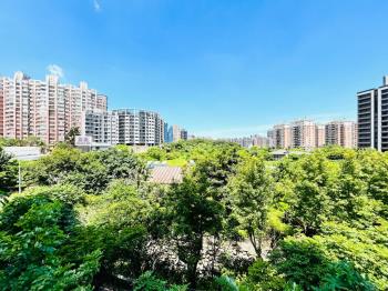 淡水市中心蘋果樹