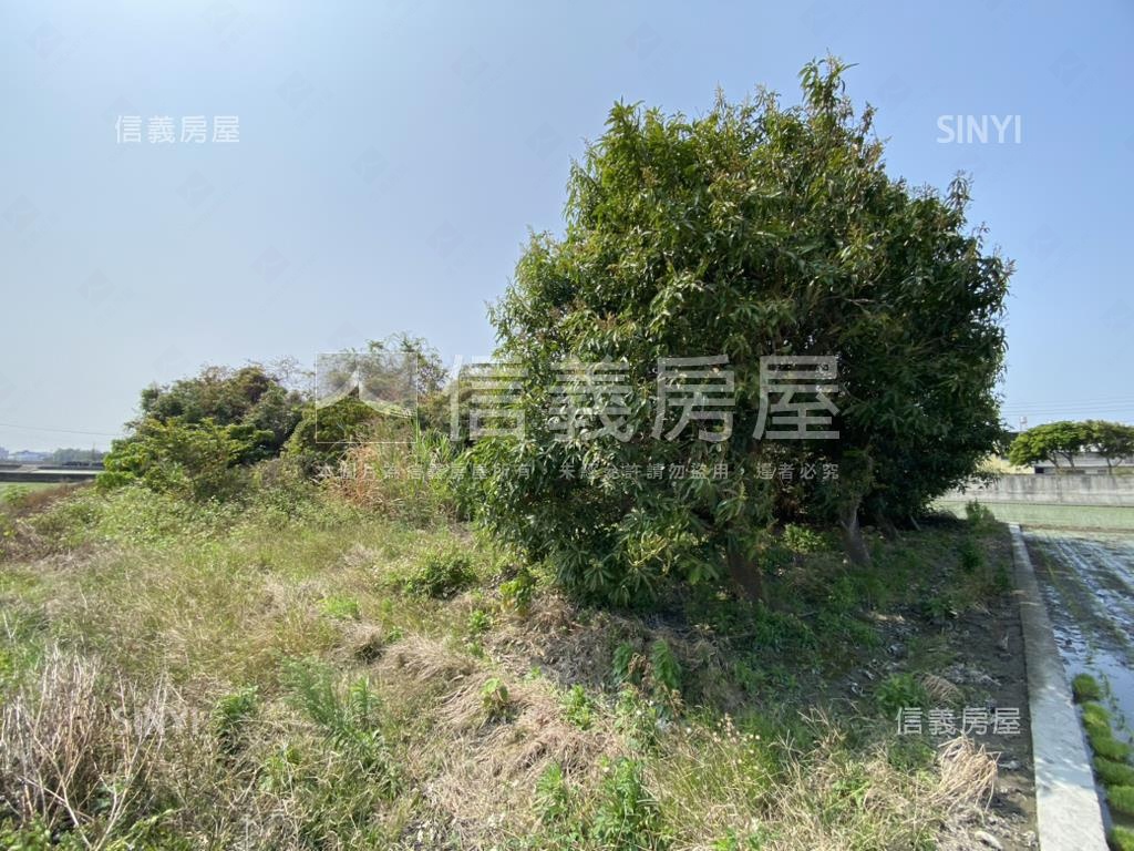 秀水漂亮美地房屋室內格局與周邊環境