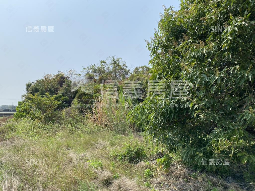 秀水漂亮美地房屋室內格局與周邊環境