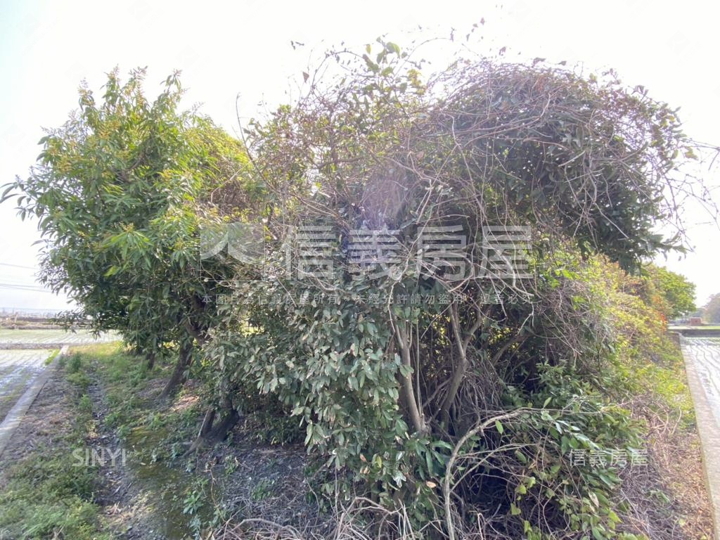 秀水漂亮美地房屋室內格局與周邊環境