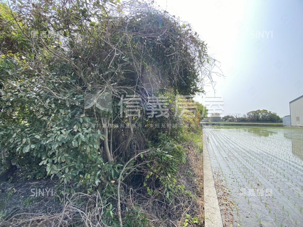 秀水漂亮美地房屋室內格局與周邊環境