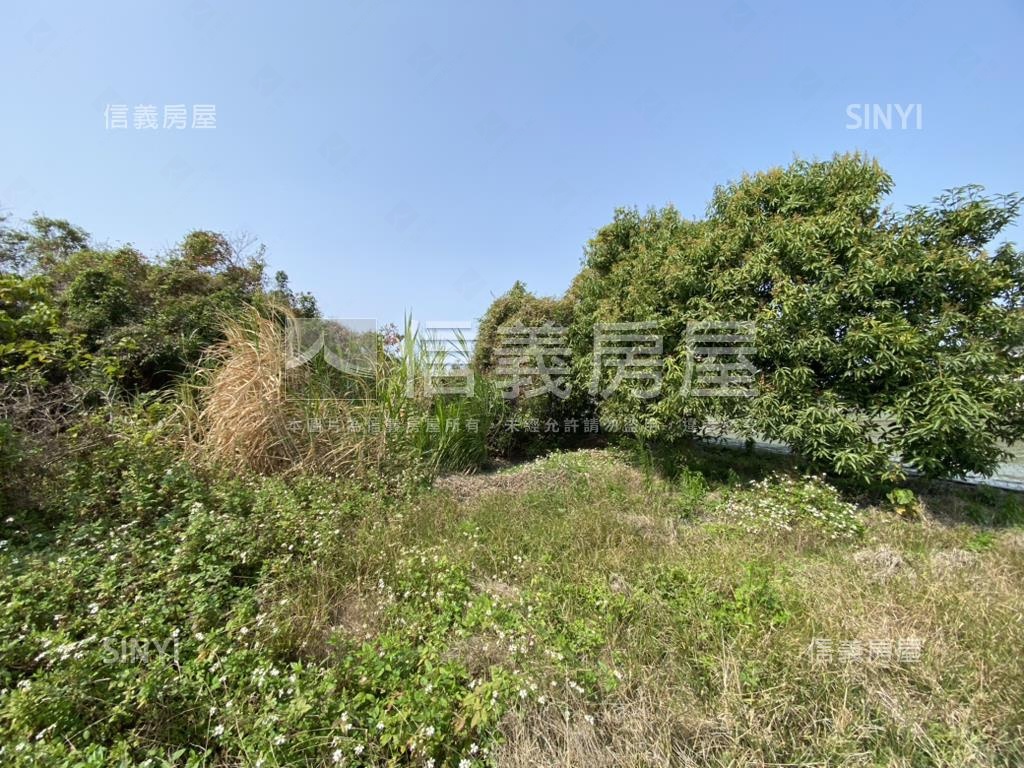 秀水漂亮美地房屋室內格局與周邊環境