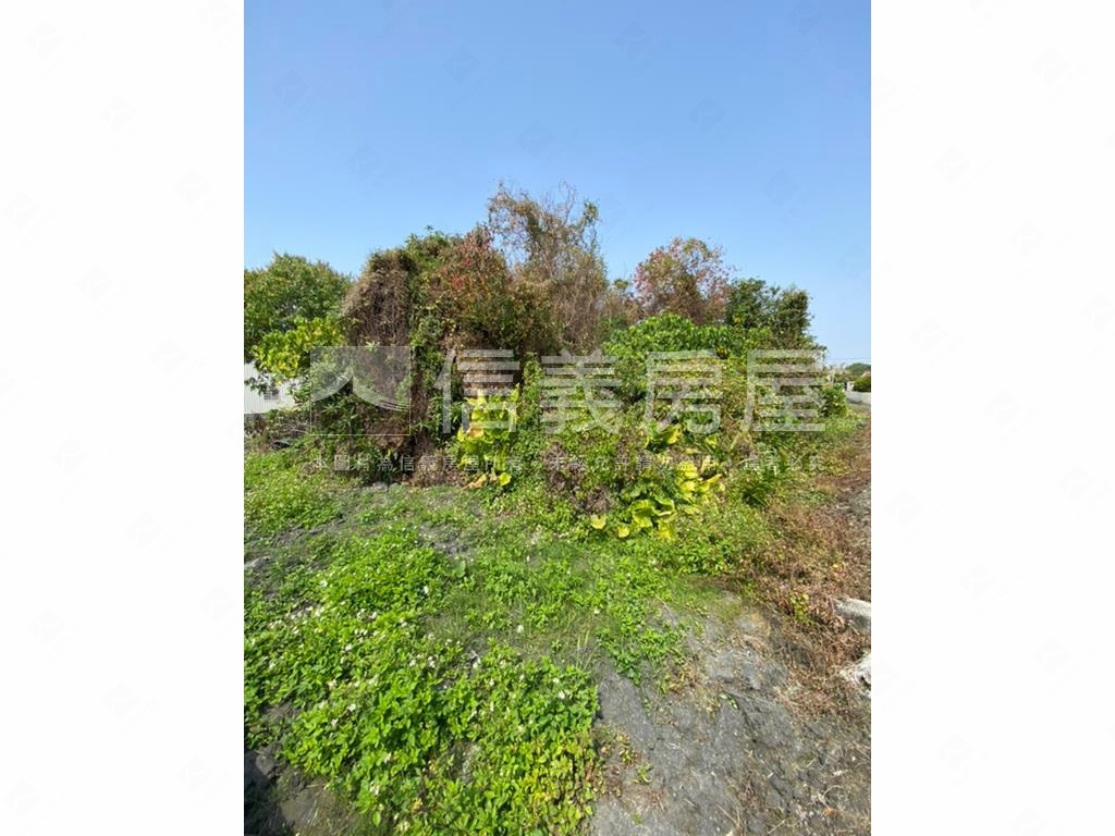 秀水漂亮美地房屋室內格局與周邊環境